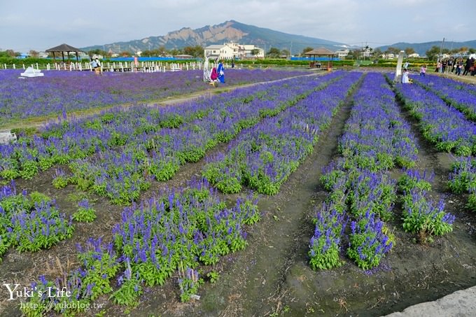 台中景點【中社觀光花市】歐式花海庭園全年可賞花×台中親子烤肉好去處！ - yuki.tw