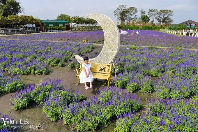 台中景點【中社觀光花市】歐式花海庭園全年可賞花×台中親子烤肉好去處！ - yuki.tw