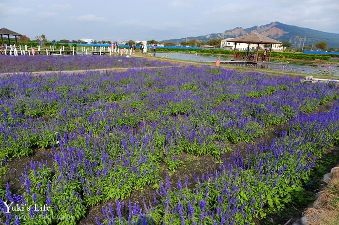 台中景點【中社觀光花市】歐式花海庭園全年可賞花×台中親子烤肉好去處！ - yuki.tw