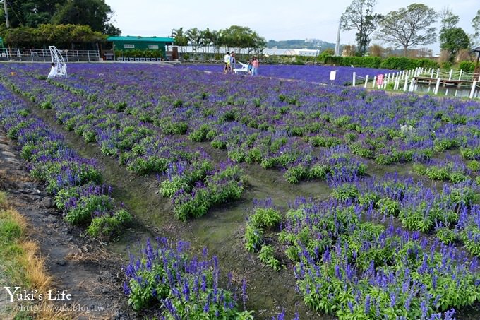 台中景點【中社觀光花市】歐式花海庭園全年可賞花×台中親子烤肉好去處！ - yuki.tw