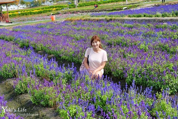 台中景點【中社觀光花市】歐式花海庭園全年可賞花×台中親子烤肉好去處！ - yuki.tw