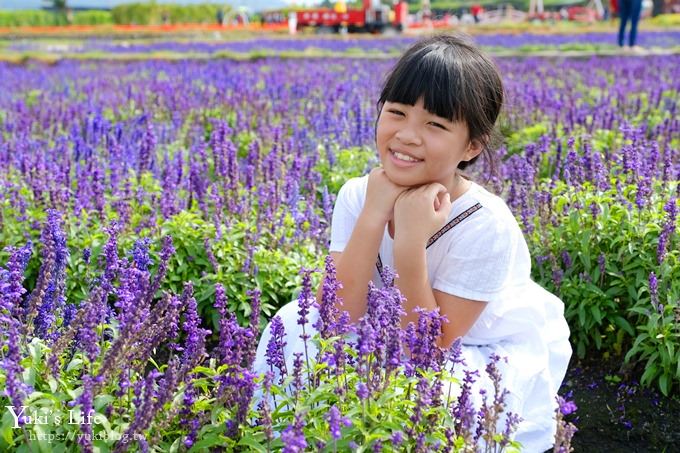 台中景點【中社觀光花市】歐式花海庭園全年可賞花×台中親子烤肉好去處！ - yuki.tw