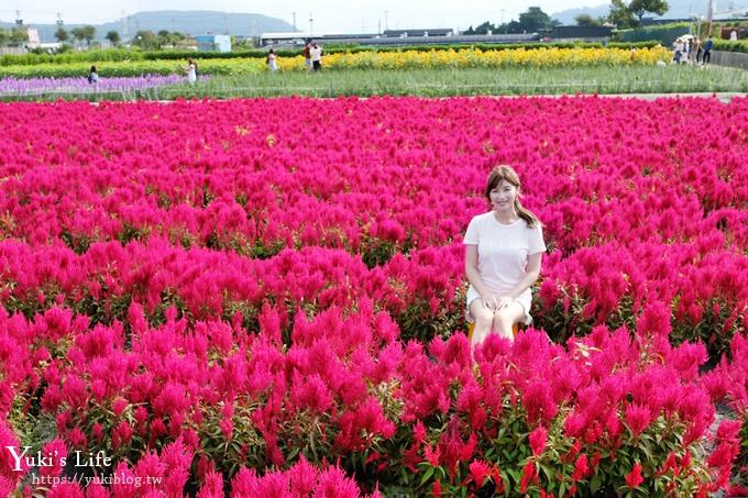 台中景點【中社觀光花市】歐式花海庭園全年可賞花×台中親子烤肉好去處！ - yuki.tw