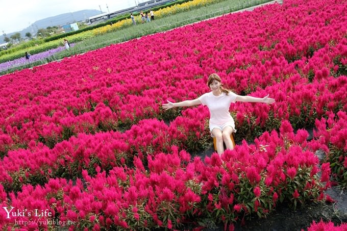 台中景點【中社觀光花市】歐式花海庭園全年可賞花×台中親子烤肉好去處！ - yuki.tw