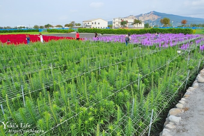 台中景點【中社觀光花市】歐式花海庭園全年可賞花×台中親子烤肉好去處！ - yuki.tw