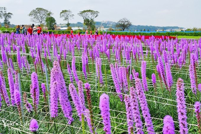 台中景點【中社觀光花市】歐式花海庭園全年可賞花×台中親子烤肉好去處！ - yuki.tw