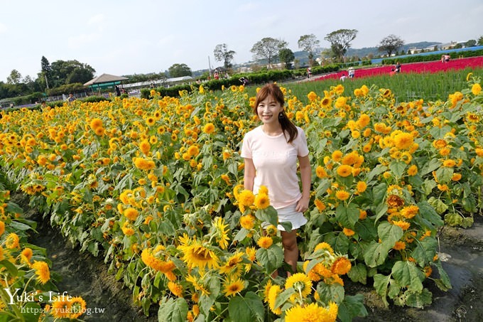 台中景點【中社觀光花市】歐式花海庭園全年可賞花×台中親子烤肉好去處！ - yuki.tw