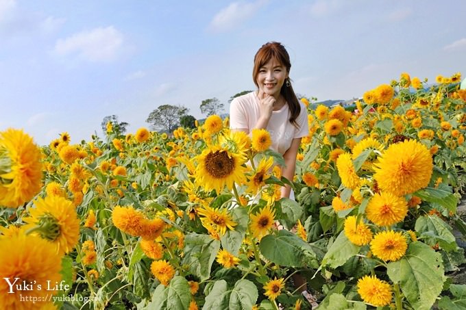 台中景點【中社觀光花市】歐式花海庭園全年可賞花×台中親子烤肉好去處！ - yuki.tw