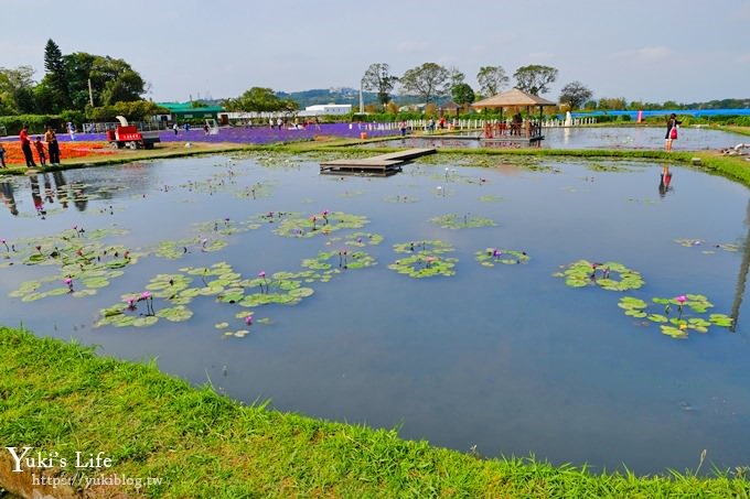 台中景點【中社觀光花市】歐式花海庭園全年可賞花×台中親子烤肉好去處！ - yuki.tw