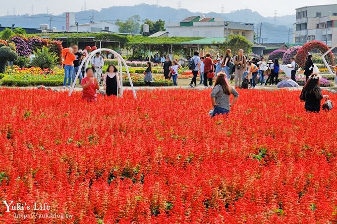 台中景點【中社觀光花市】歐式花海庭園全年可賞花×台中親子烤肉好去處！ - yuki.tw