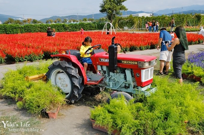 台中景點【中社觀光花市】歐式花海庭園全年可賞花×台中親子烤肉好去處！ - yuki.tw