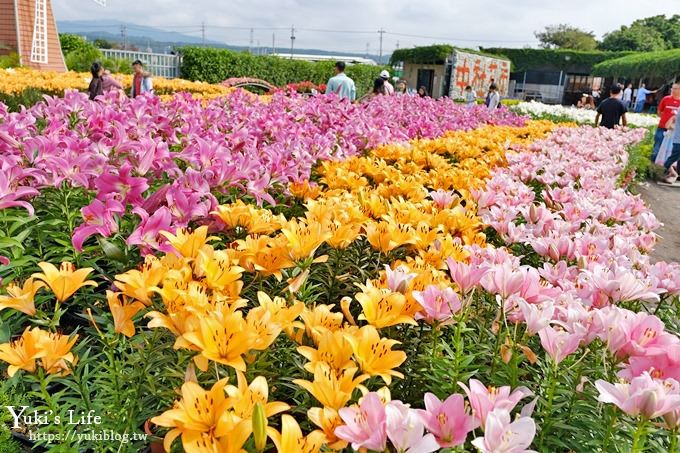 台中景點【中社觀光花市】歐式花海庭園全年可賞花×台中親子烤肉好去處！ - yuki.tw