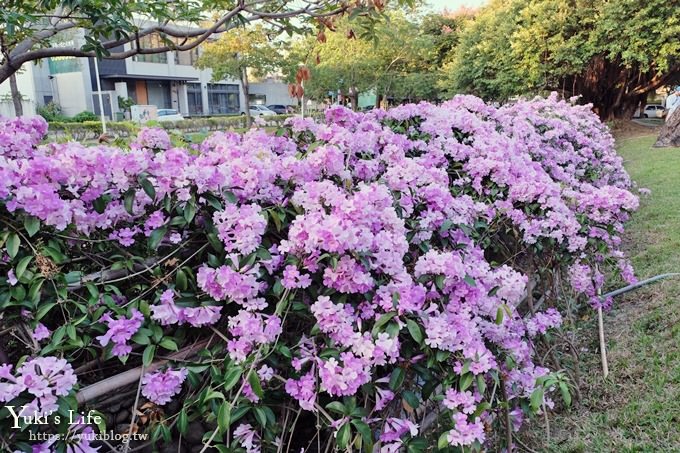 免費新竹景點【新瓦屋客家文化保存區】文創聚落超好拍！賞花、草地野餐親子好去處 - yuki.tw