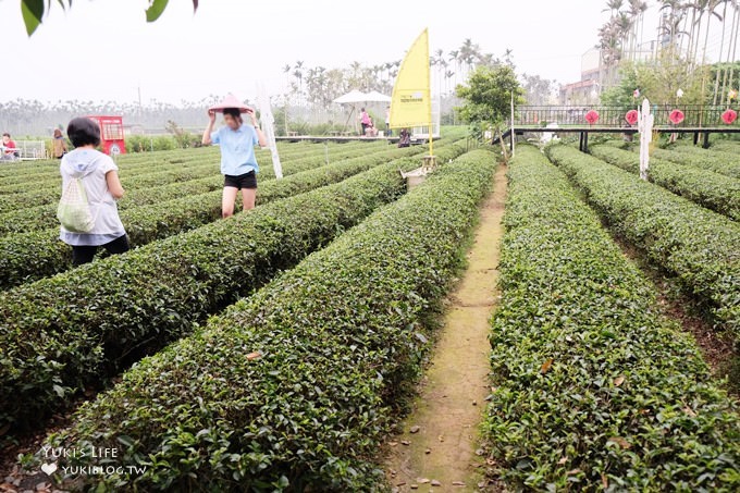 南投名間景點【茶二指故事館】茶園間大人喝茶小孩玩沙池×南投親子一日遊景點×桃太郎村順遊景點 - yuki.tw