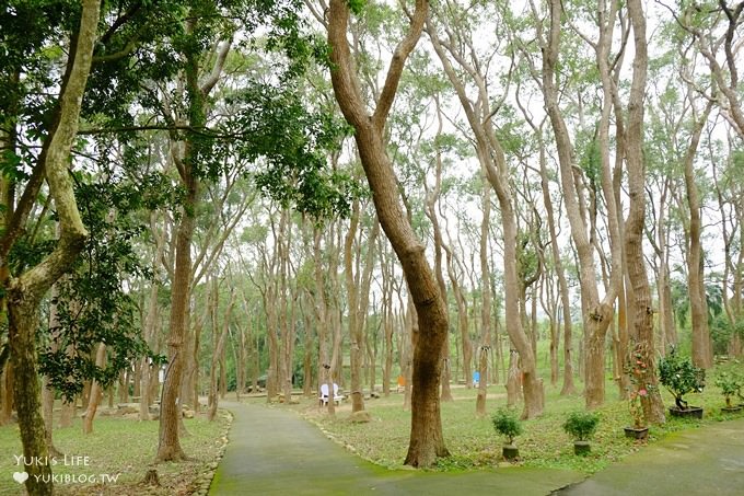 苗栗景點【上田咖啡莊園】繽紛愛心椅×樟樹桐花森林×咖啡慢生活(親子適合) - yuki.tw