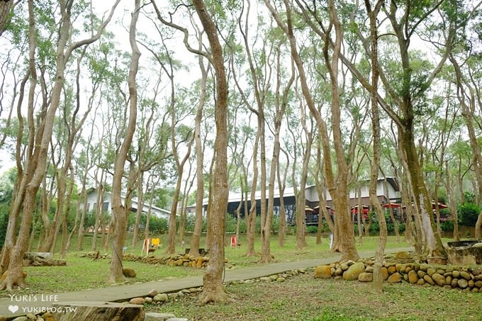 苗栗景點【上田咖啡莊園】繽紛愛心椅×樟樹桐花森林×咖啡慢生活(親子適合) - yuki.tw