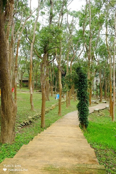 苗栗景點【上田咖啡莊園】繽紛愛心椅×樟樹桐花森林×咖啡慢生活(親子適合) - yuki.tw