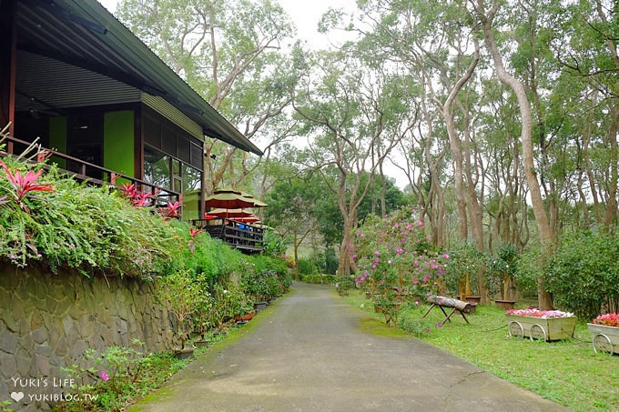 苗栗景點【上田咖啡莊園】繽紛愛心椅×樟樹桐花森林×咖啡慢生活(親子適合) - yuki.tw