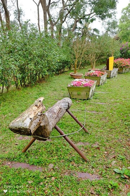 苗栗景點【上田咖啡莊園】繽紛愛心椅×樟樹桐花森林×咖啡慢生活(親子適合) - yuki.tw