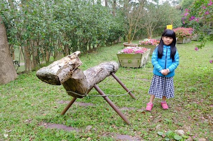 苗栗景點【上田咖啡莊園】繽紛愛心椅×樟樹桐花森林×咖啡慢生活(親子適合) - yuki.tw