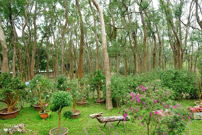 苗栗景點【上田咖啡莊園】繽紛愛心椅×樟樹桐花森林×咖啡慢生活(親子適合) - yuki.tw