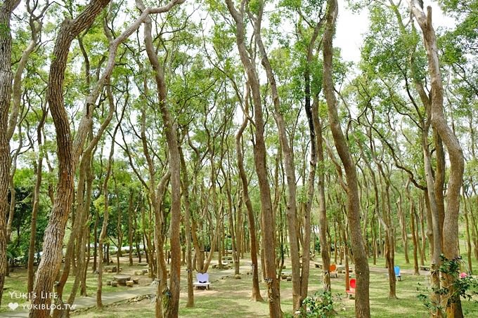 苗栗景點【上田咖啡莊園】繽紛愛心椅×樟樹桐花森林×咖啡慢生活(親子適合) - yuki.tw