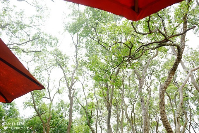 苗栗景點【上田咖啡莊園】繽紛愛心椅×樟樹桐花森林×咖啡慢生活(親子適合) - yuki.tw