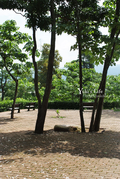 [苗栗賞桐] 銅鑼客家大院桐花樂活主題公園 ✿ 五月吹雪‧油桐花 - yuki.tw