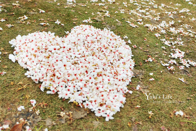 [苗栗賞桐] 銅鑼客家大院桐花樂活主題公園 ✿ 五月吹雪‧油桐花 - yuki.tw