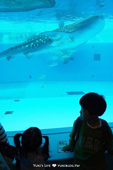 日本┃橫濱‧八景島海島樂園親子遊→無限感動の親密水族館×遊樂園（上）也適合約會喲！ - yuki.tw