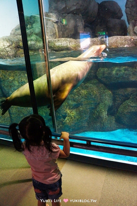 日本┃橫濱‧八景島海島樂園親子遊→無限感動の親密水族館×遊樂園（上）也適合約會喲！ - yuki.tw