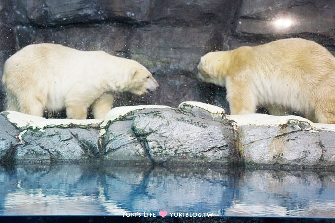 日本┃橫濱‧八景島海島樂園親子遊→無限感動の親密水族館×遊樂園（上）也適合約會喲！ - yuki.tw