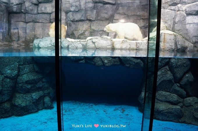 日本┃橫濱‧八景島海島樂園親子遊→無限感動の親密水族館×遊樂園（上）也適合約會喲！ - yuki.tw