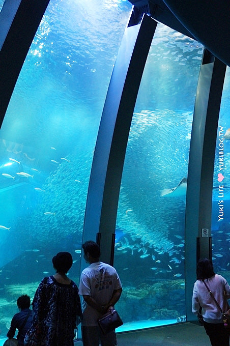 日本┃橫濱‧八景島海島樂園親子遊→無限感動の親密水族館×遊樂園（上）也適合約會喲！ - yuki.tw