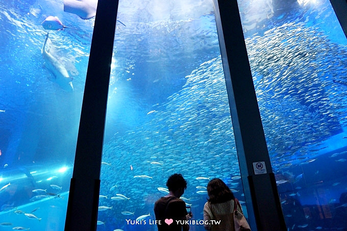 日本┃橫濱‧八景島海島樂園親子遊→無限感動の親密水族館×遊樂園（上）也適合約會喲！ - yuki.tw