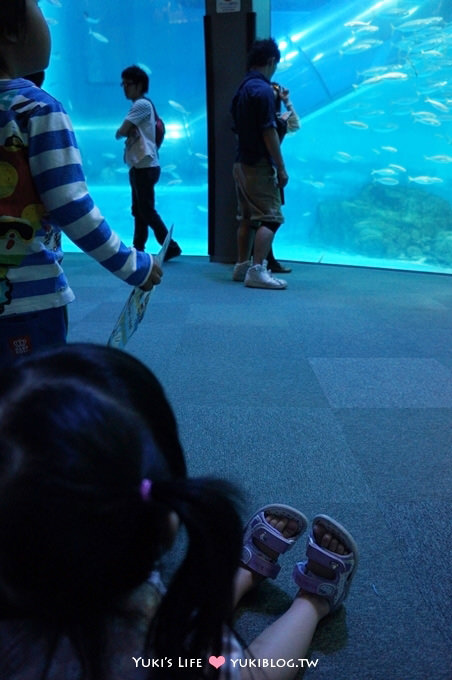 日本┃橫濱‧八景島海島樂園親子遊→無限感動の親密水族館×遊樂園（上）也適合約會喲！ - yuki.tw