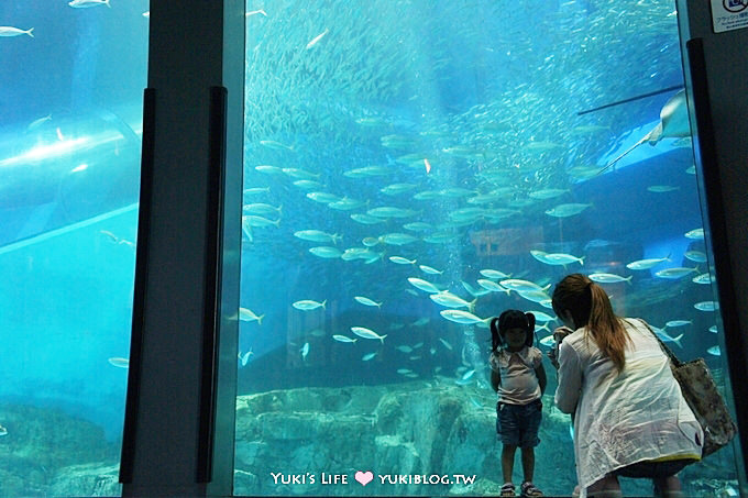 日本┃橫濱‧八景島海島樂園親子遊→無限感動の親密水族館×遊樂園（上）也適合約會喲！ - yuki.tw