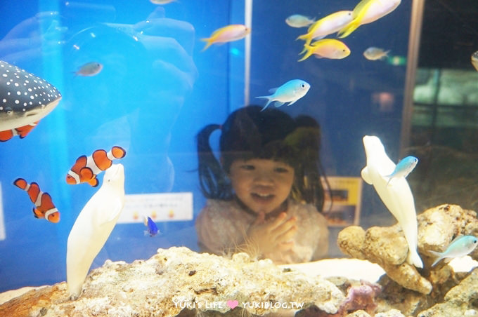 日本┃橫濱‧八景島海島樂園親子遊→無限感動の親密水族館×遊樂園（上）也適合約會喲！ - yuki.tw