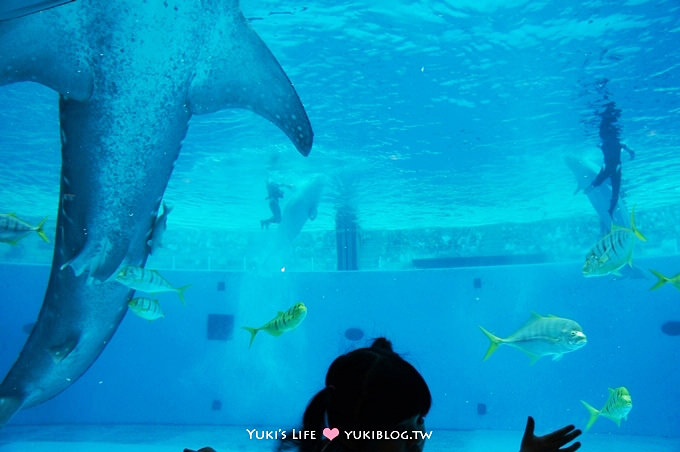 日本┃橫濱‧八景島海島樂園親子遊→無限感動の親密水族館×遊樂園（上）也適合約會喲！ - yuki.tw