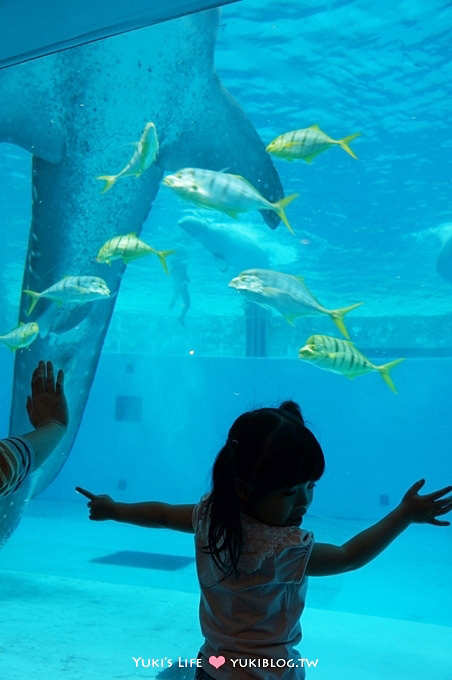 日本┃橫濱‧八景島海島樂園親子遊→無限感動の親密水族館×遊樂園（上）也適合約會喲！ - yuki.tw