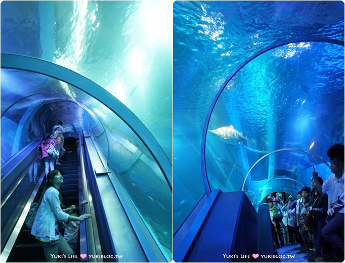 日本┃橫濱‧八景島海島樂園親子遊→無限感動の親密水族館×遊樂園（上）也適合約會喲！ - yuki.tw