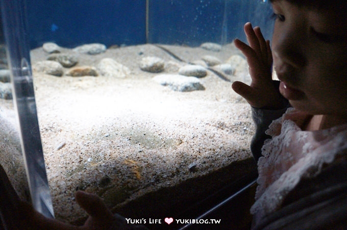 日本┃橫濱‧八景島海島樂園親子遊→無限感動の親密水族館×遊樂園（上）也適合約會喲！ - yuki.tw