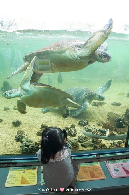 日本┃橫濱‧八景島海島樂園親子遊→無限感動の親密水族館×遊樂園（上）也適合約會喲！ - yuki.tw