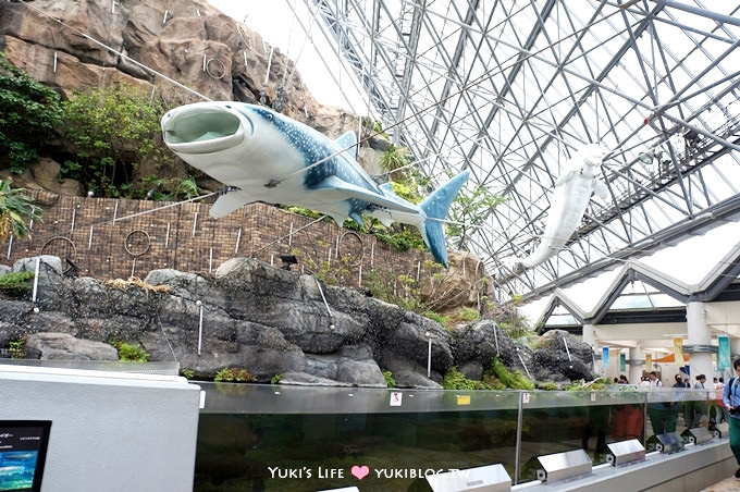 日本┃橫濱‧八景島海島樂園親子遊→無限感動の親密水族館×遊樂園（上）也適合約會喲！ - yuki.tw