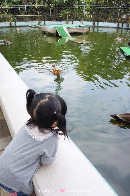 日本┃橫濱‧八景島海島樂園親子遊→無限感動の親密水族館×遊樂園（上）也適合約會喲！ - yuki.tw