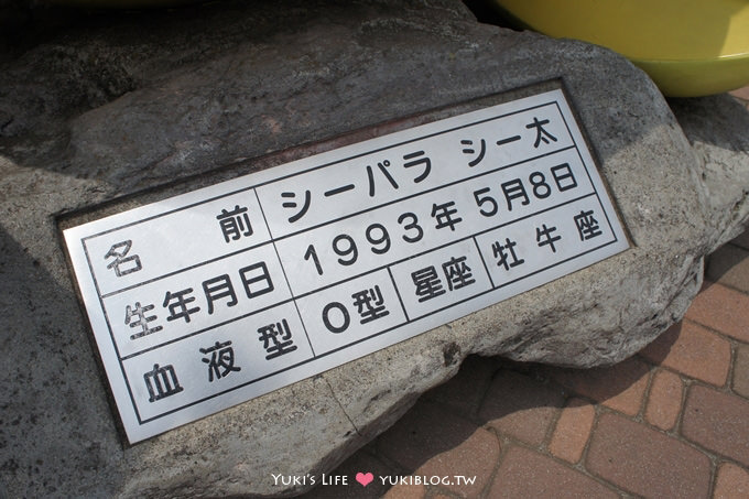 日本┃橫濱‧八景島海島樂園親子遊→無限感動の親密水族館×遊樂園（上）也適合約會喲！ - yuki.tw