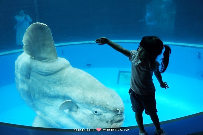 日本┃橫濱‧八景島海島樂園親子遊→無限感動の親密水族館×遊樂園（上）也適合約會喲！ - yuki.tw