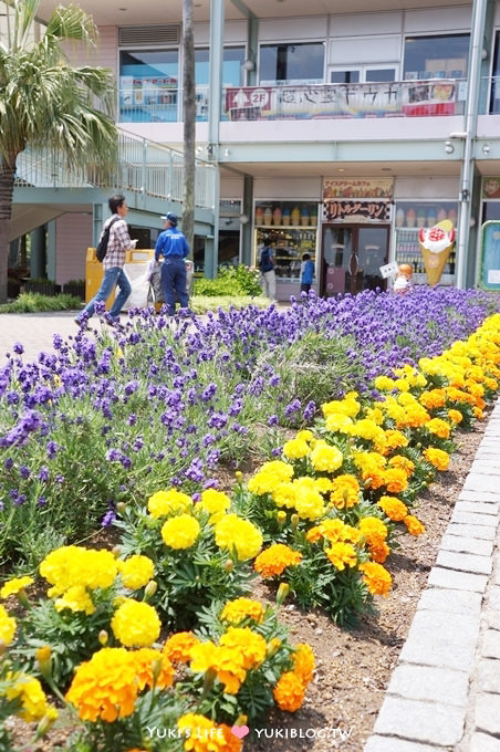 日本┃橫濱‧八景島海島樂園親子遊→無限感動の親密水族館×遊樂園（上）也適合約會喲！ - yuki.tw