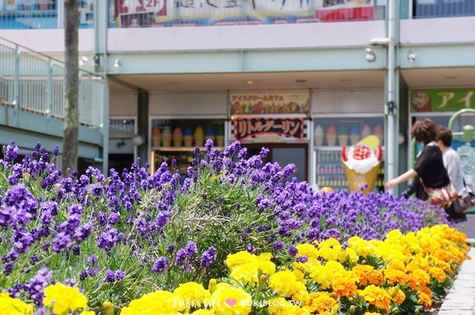 日本┃橫濱‧八景島海島樂園親子遊→無限感動の親密水族館×遊樂園（上）也適合約會喲！ - yuki.tw