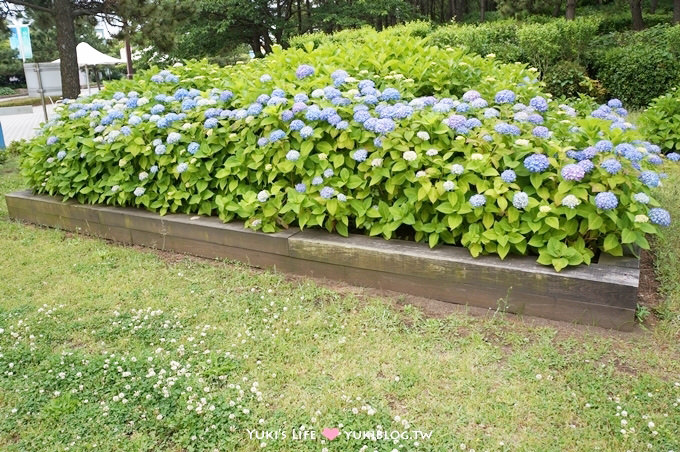 日本┃橫濱‧八景島海島樂園親子遊→無限感動の親密水族館×遊樂園（上）也適合約會喲！ - yuki.tw